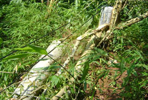 918博天堂(中国区)官方网站