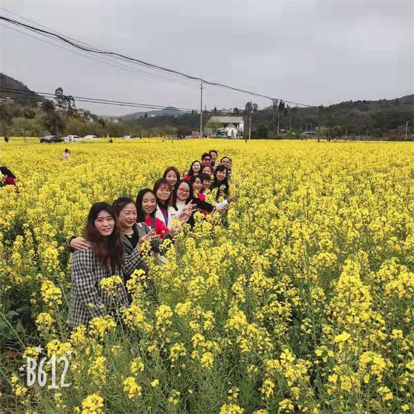 918博天堂(中国区)官方网站