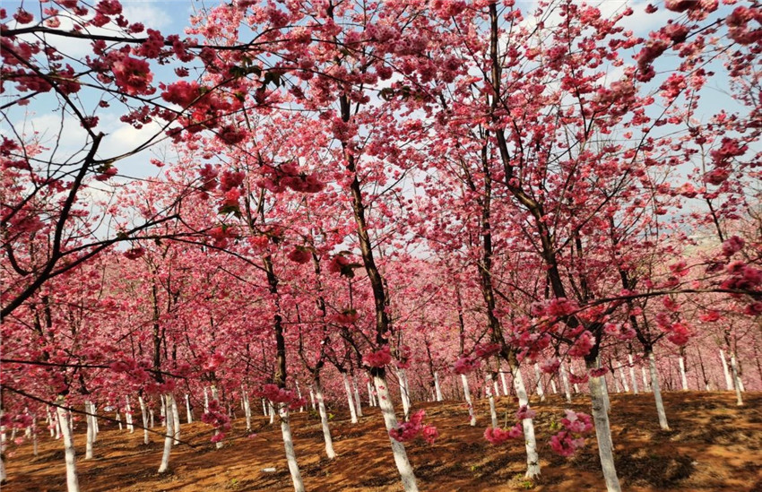 918博天堂(中国区)官方网站